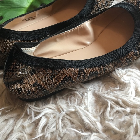 Cole Haan stretchy snakeskin black toe flats - Picture 4 of 5